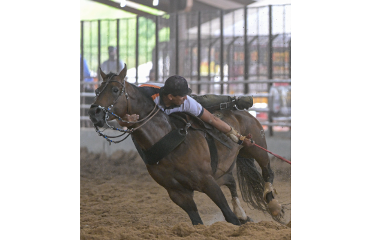 COCHISE TORO JAB